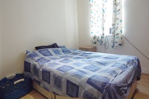 Photo 9- click for photo gallery